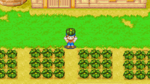 You can harvest pumpkins after two weeks of in-game time | Harvest Moon: Friends of Mineral Town