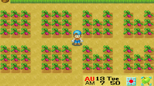 The 3x3 Square formation (left side), and the U-Shape formation (right side) | Harvest Moon: Friends of Mineral Town