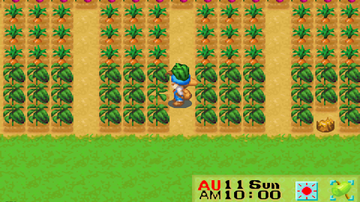 A field of green peppers ready for harvest | Harvest Moon: Friends of Mineral Town