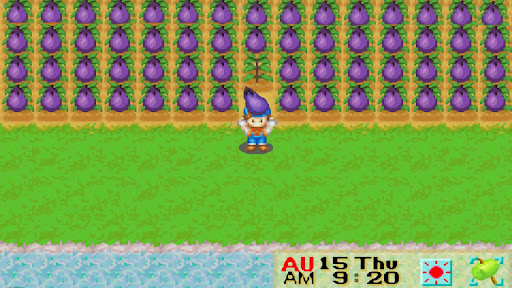 Eggplant Crop Guide for Harvest Moon: Friends of Mineral Town