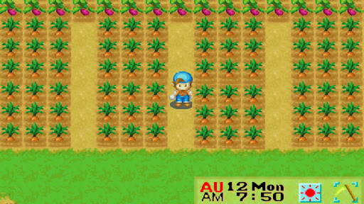 Carrot Crop Guide for Harvest Moon: Friends of Mineral Town