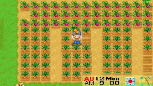 The player harvesting ripe carrots | Harvest Moon: Friends of Mineral Town