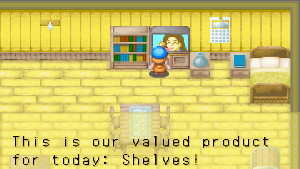 You can purchase furniture from the TV Shopping Network | Harvest Moon: Friends of Mineral Town