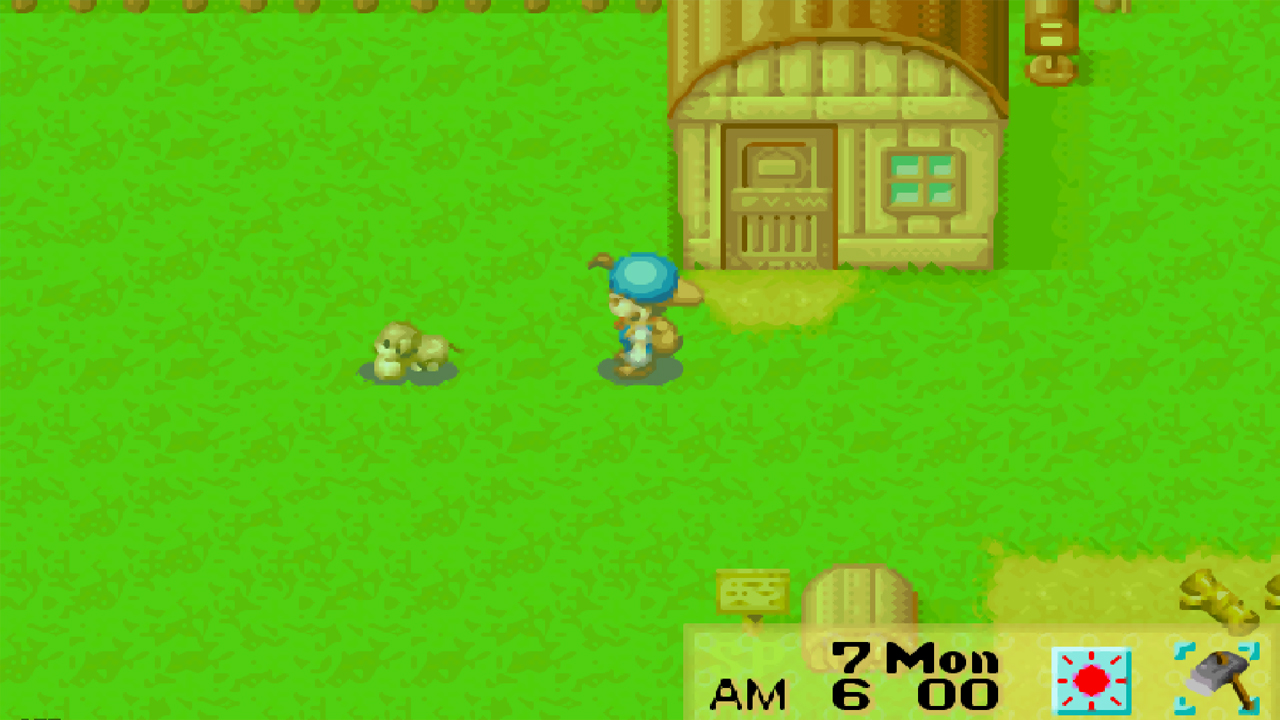 Playing with the dog will raise its affection | Harvest Moon: Friends of Mineral Town