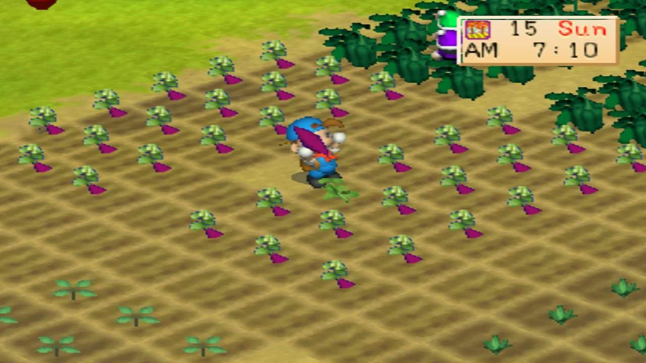 Harvesting sweet potatoes early in the morning | Harvest Moon: Back to Nature