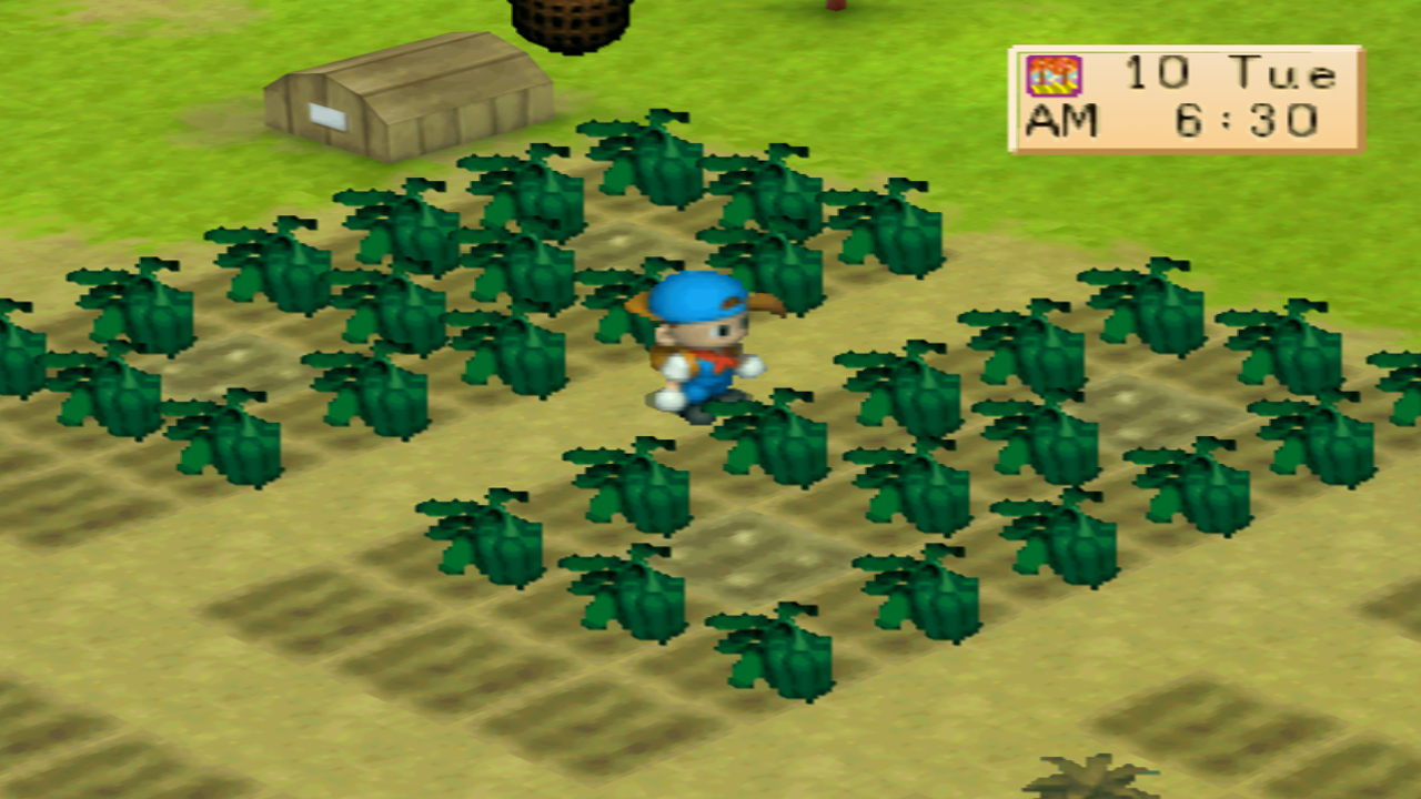 The unwatered seeds on the center prevents weeds from growing | Harvest Moon: Back to Nature