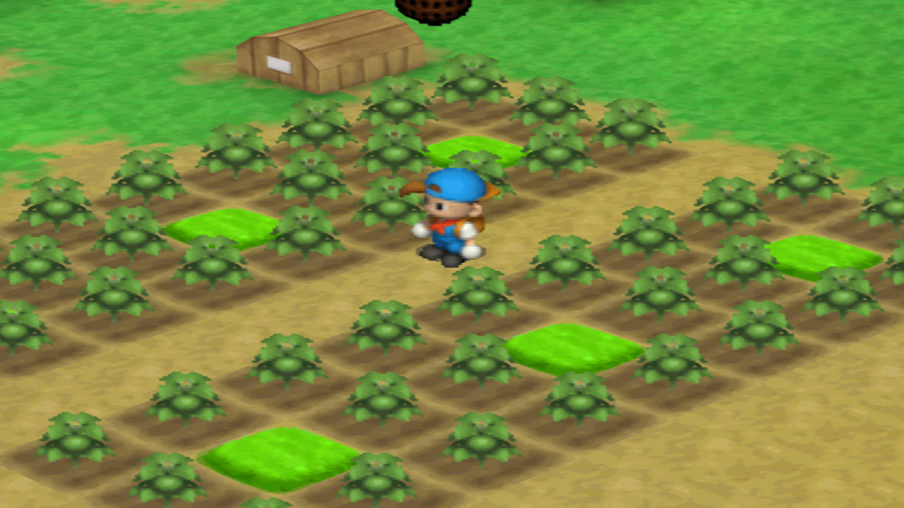 The square “donut” pattern with grass in the middle to prevent growth of weeds | Harvest Moon: Back to Nature