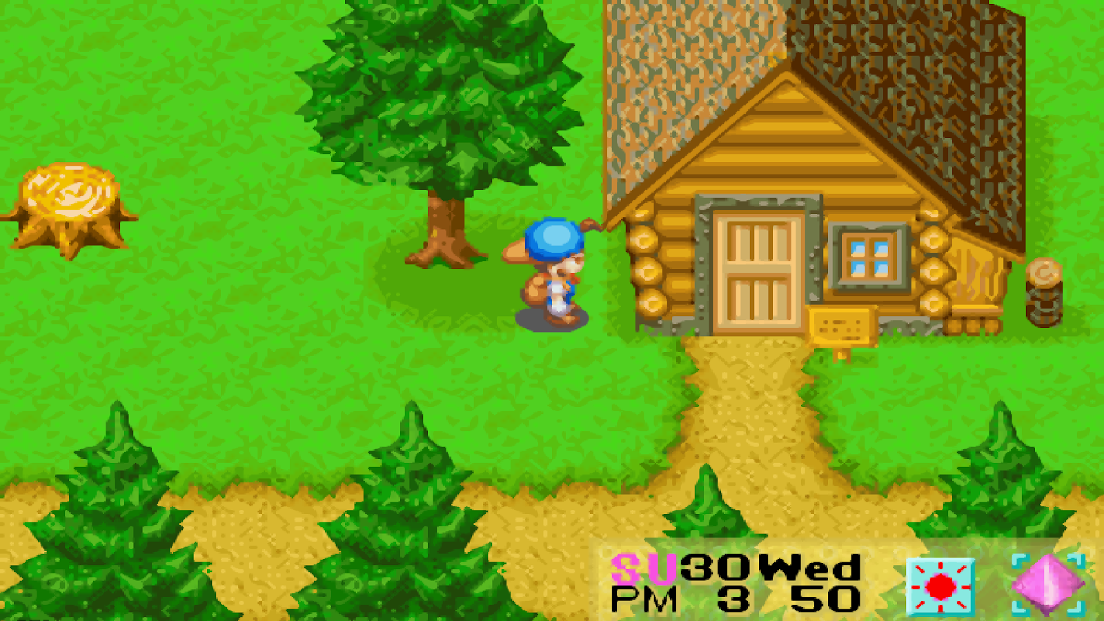 View of the Woodcutter’s House located at Mineral Forest | Harvest Moon: Friends of Mineral Town