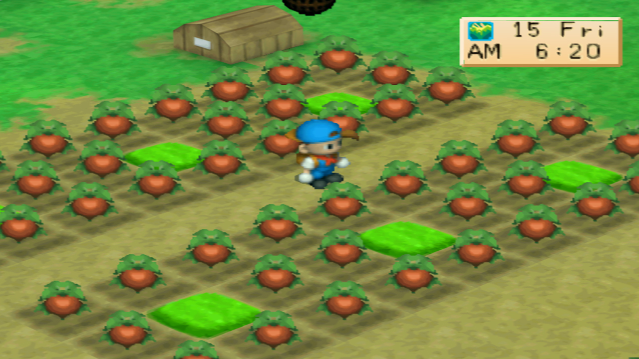 Tomatoes planted in the square “donut” pattern | Harvest Moon: Back to Nature
