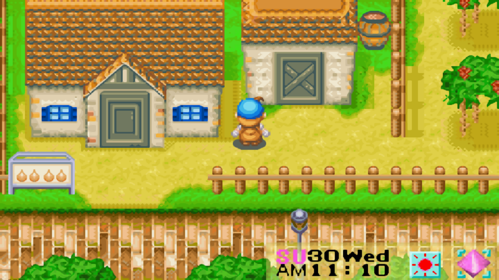 View of Aja Winery and Duke’s house | Harvest Moon: Friends of Mineral Town