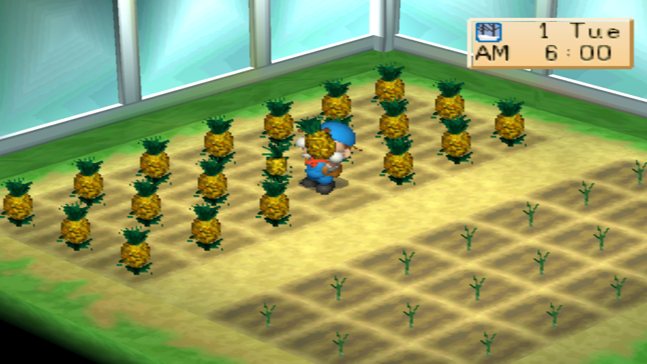 Harvesting fully grown pineapples | Harvest Moon: Back to Nature