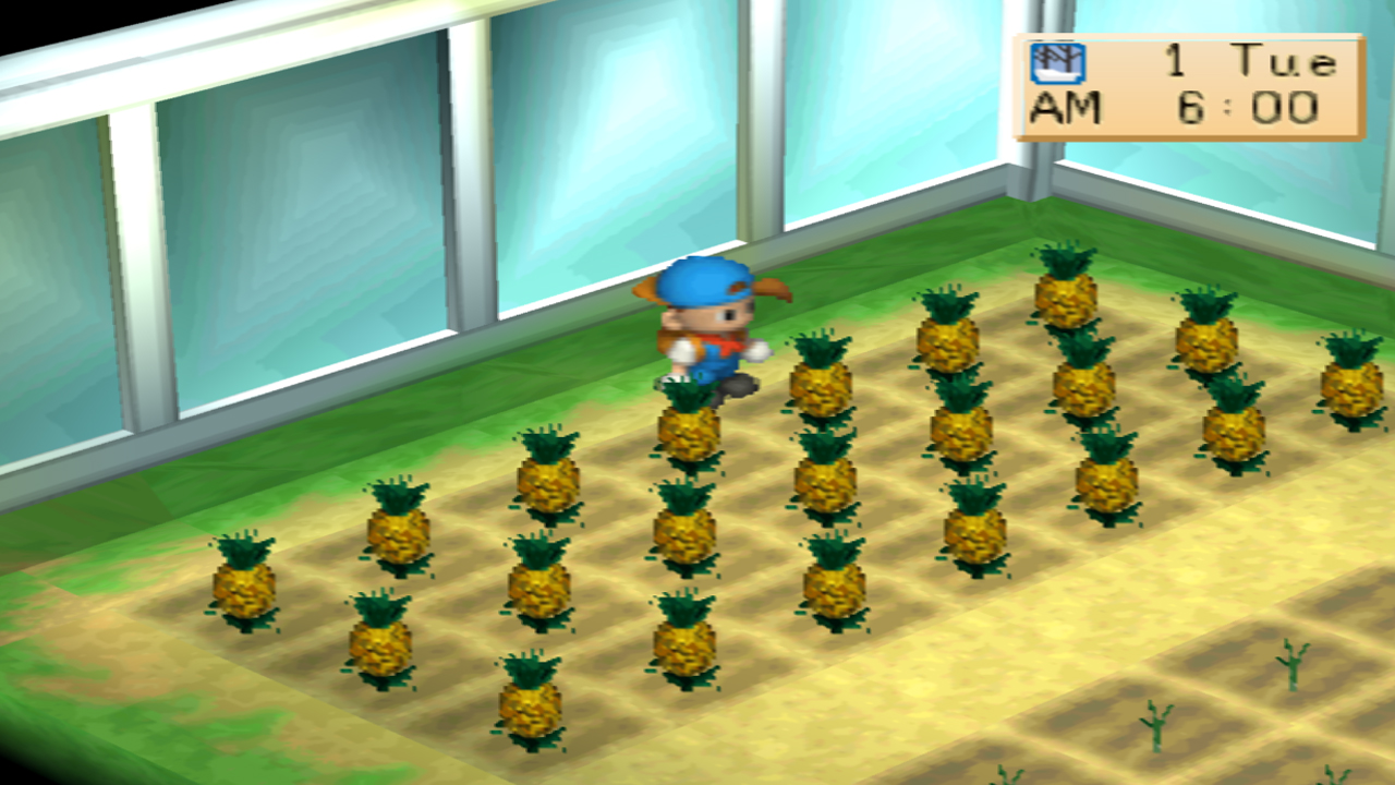 Harvest Moon: Back to Nature Crop Guide – Pineapple