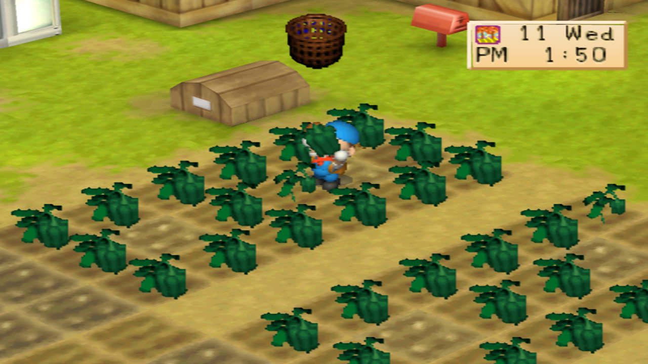Harvesting fully grown green peppers | Harvest Moon: Back to Nature