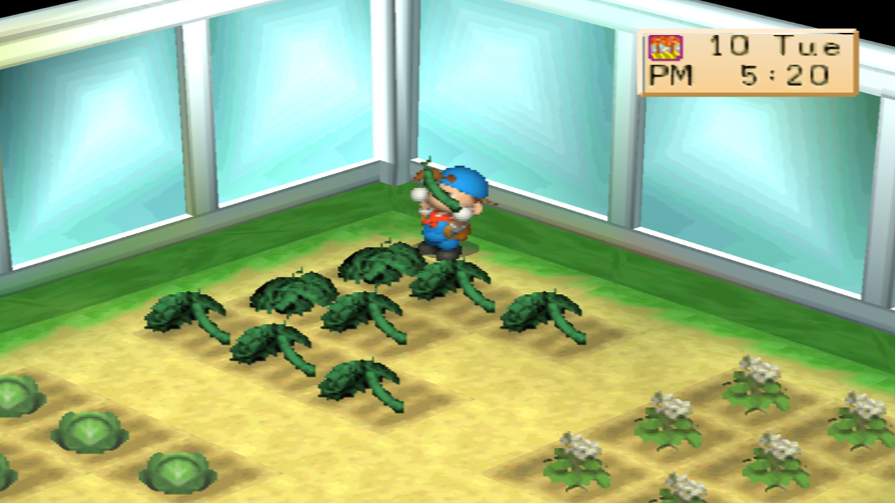 Harvest Moon: Back to Nature Crop Guide – Cucumber