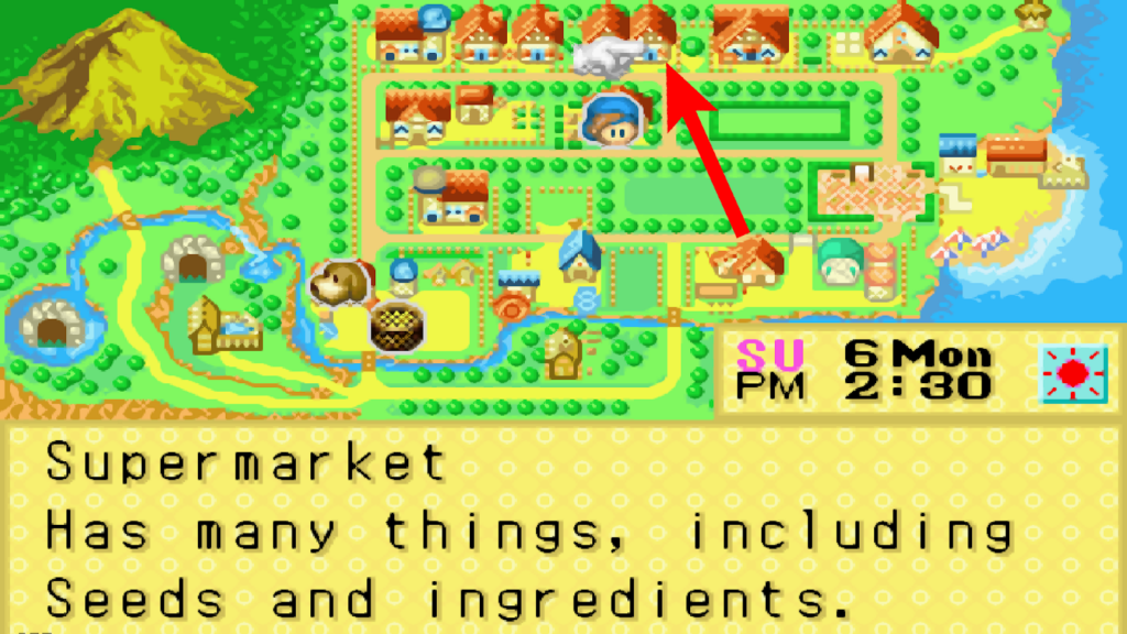 Location of the Supermarket in the world map | Harvest Moon: Friends of Mineral Town