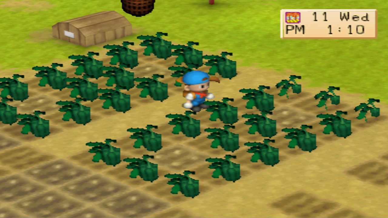 Harvest Moon: Back to Nature Crop Guide – Green Pepper