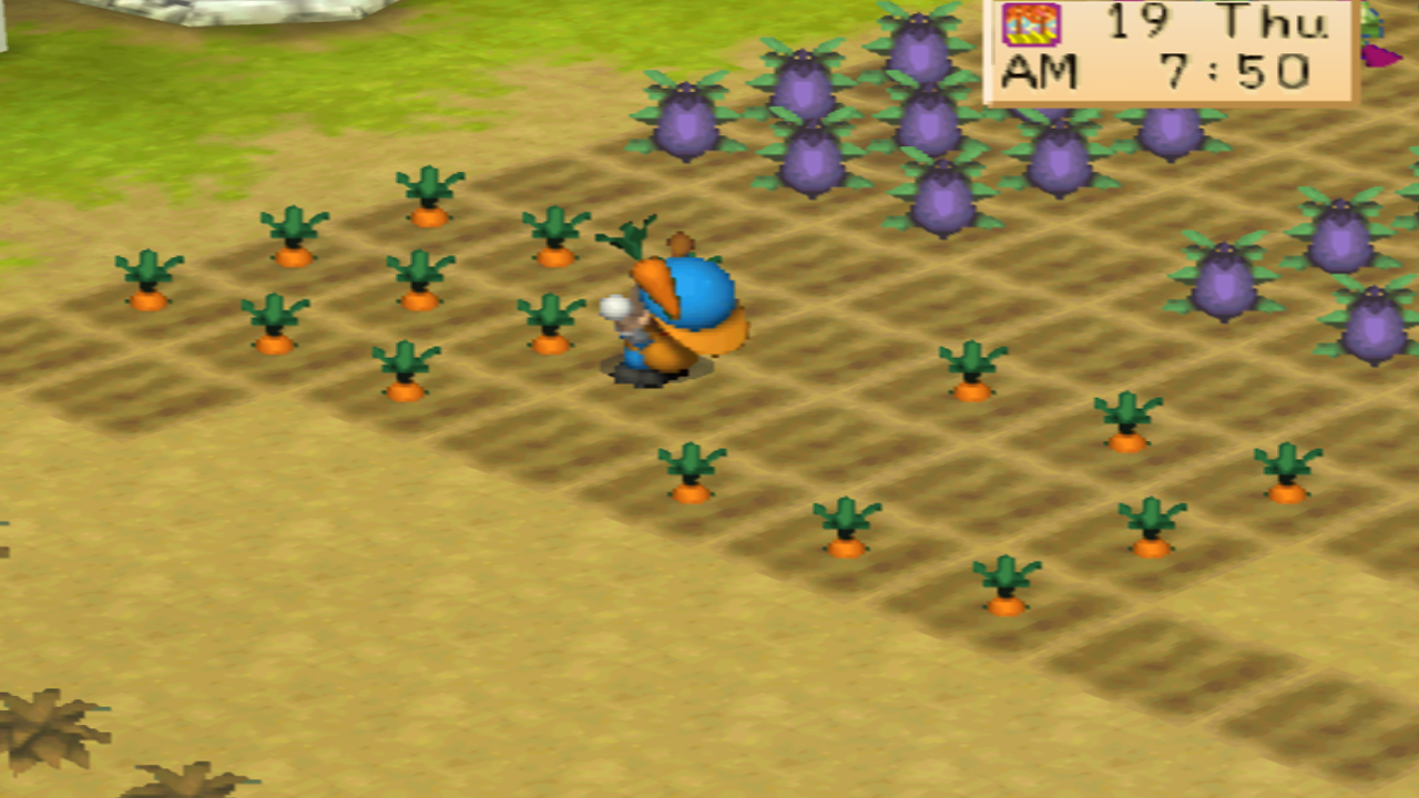 Harvesting fully grown carrots | Harvest Moon: Back to Nature