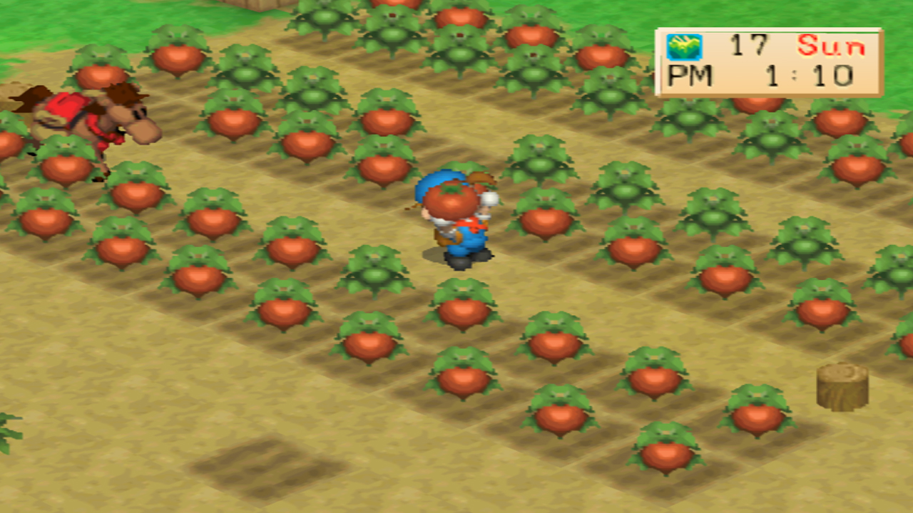 Harvesting crops planted in the parallel pattern | Harvest Moon: Back to Nature