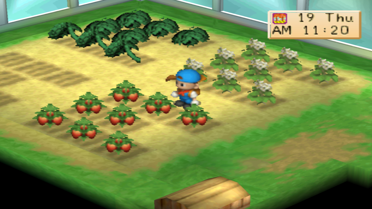 Harvest Moon: Back to Nature Crop Guide – Strawberry