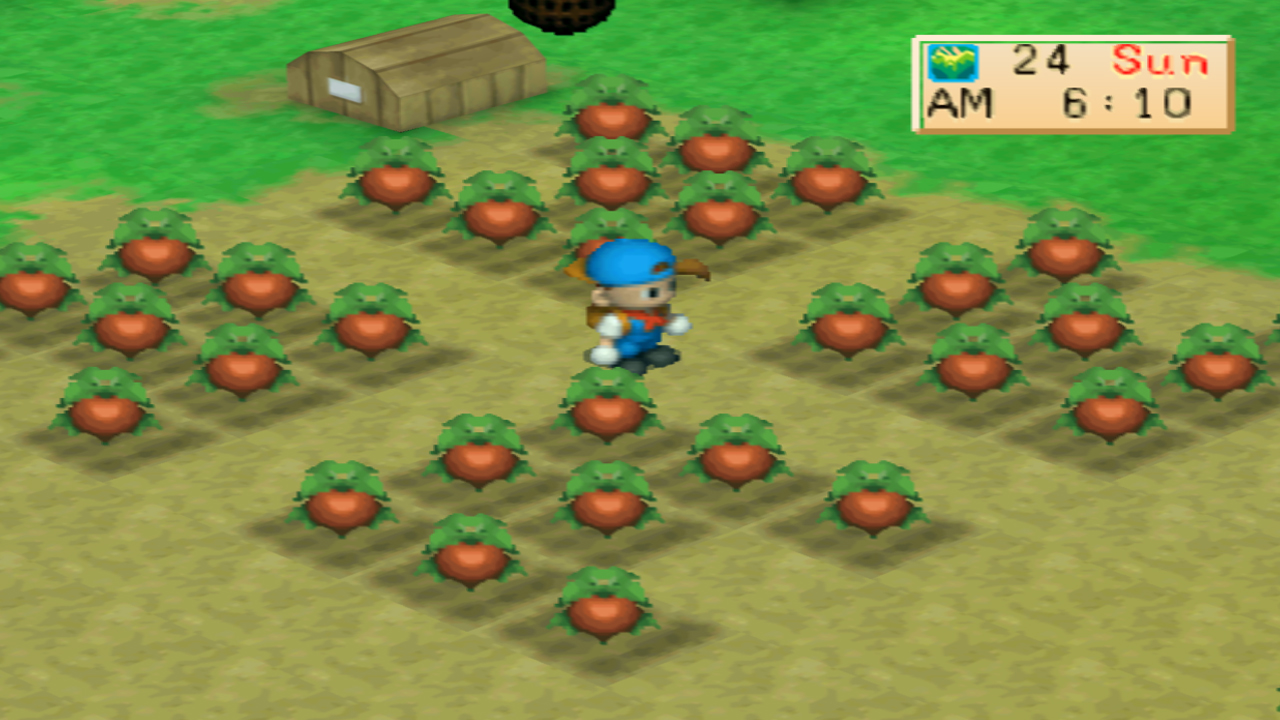 Tomatoes growing on different C-Pattern variations | Harvest Moon: Back to Nature