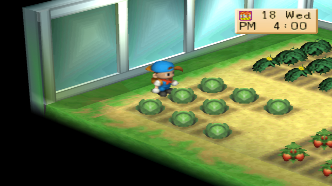 Harvest Moon: Back to Nature Crop Guide – Cabbage