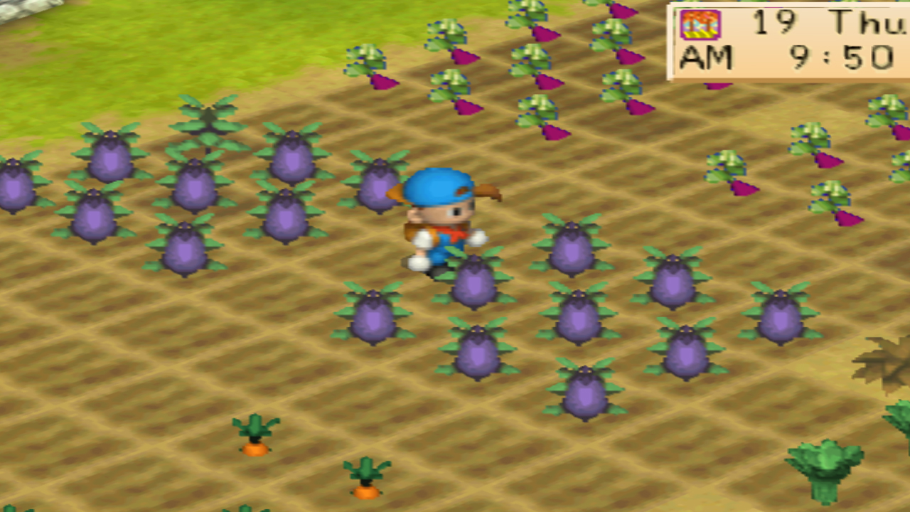 Harvest Moon: Back to Nature Crop Guide – Eggplant