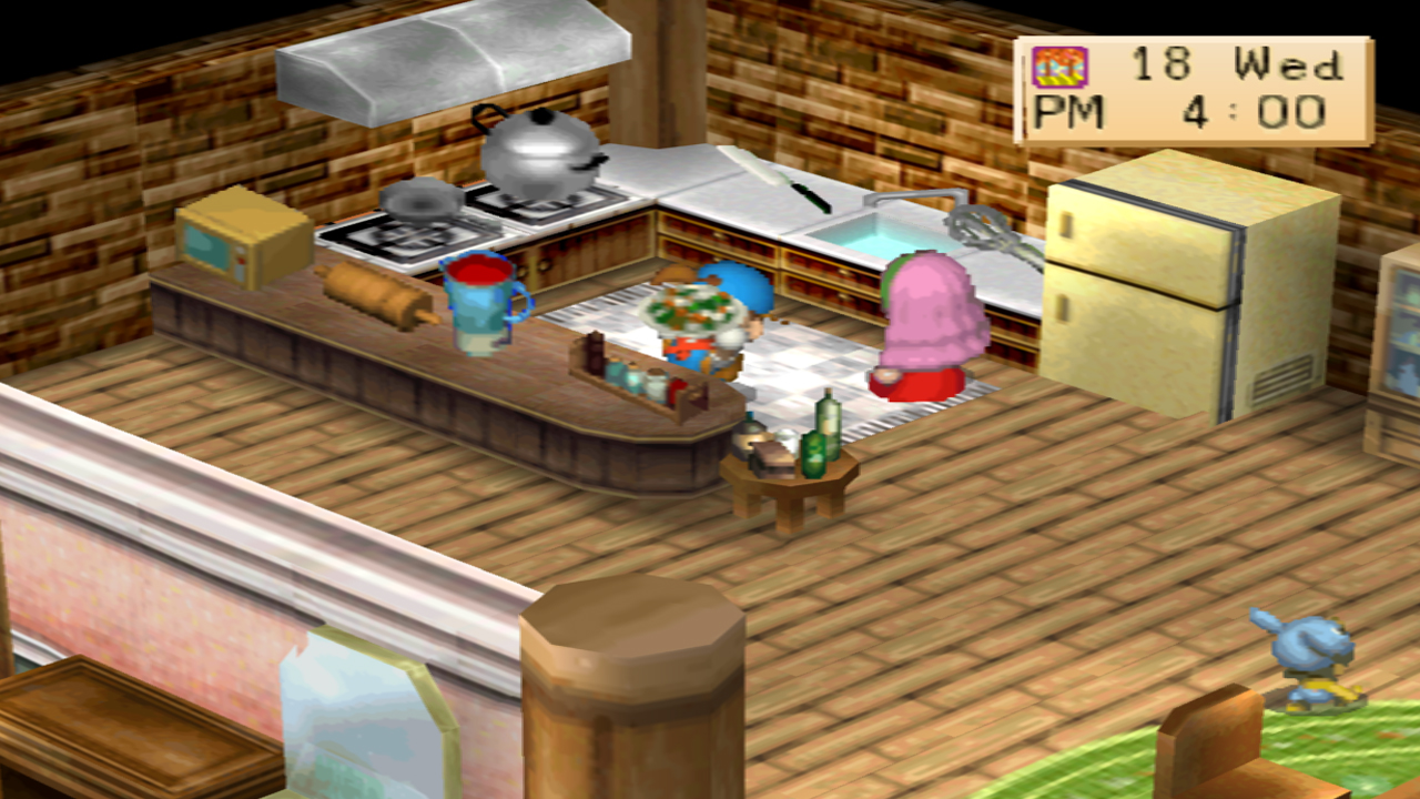 You can use cabbage to cook stir fry | Harvest Moon: Back to Nature