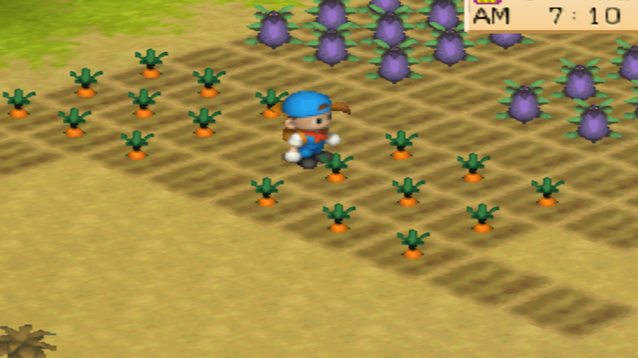 Harvest Moon: Back to Nature Crop Guide – Carrot