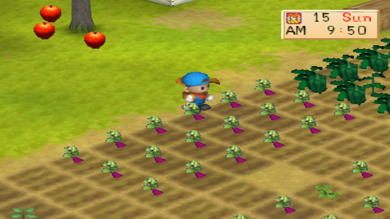 Harvest Moon: Back to Nature Crop Guide – Sweet Potato
