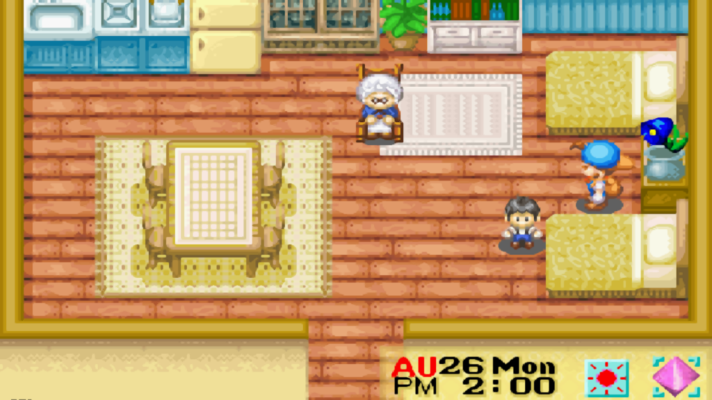 Stu is staying at his grandmother’s house | Harvest Moon: Friends of Mineral Town