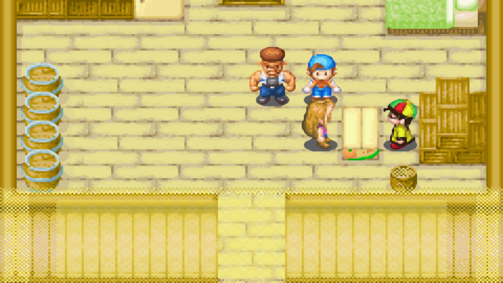 Karen stops by Zack’s house to check the new shop in town | Harvest Moon: Friends of Mineral Town