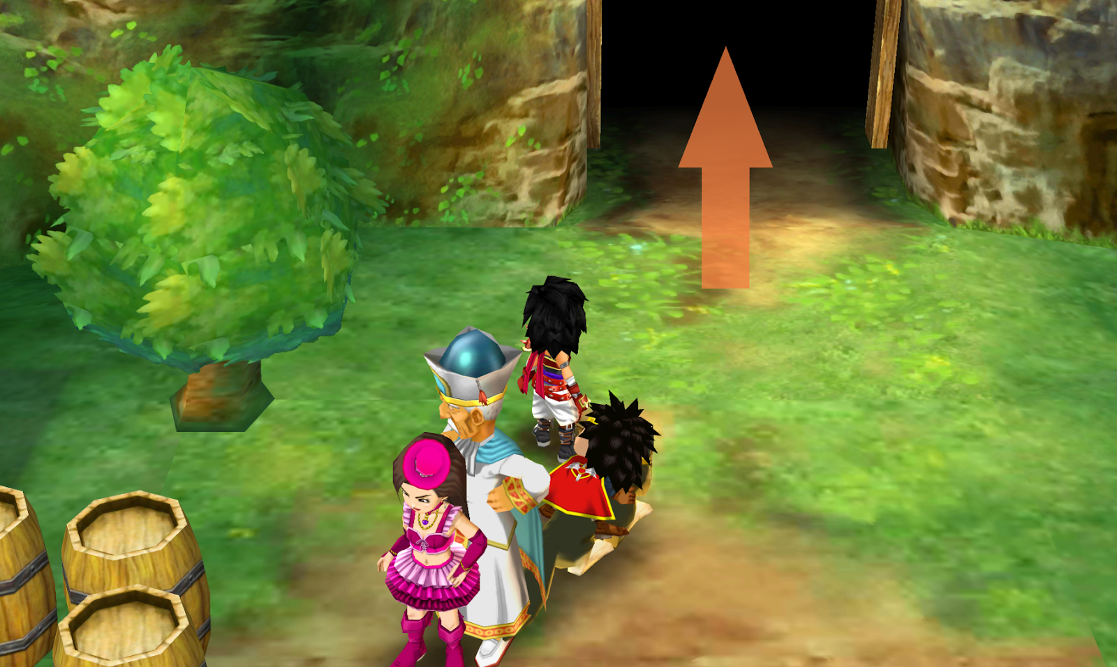 Follow these directions to get to the next floor (1) | Dragon Quest VII